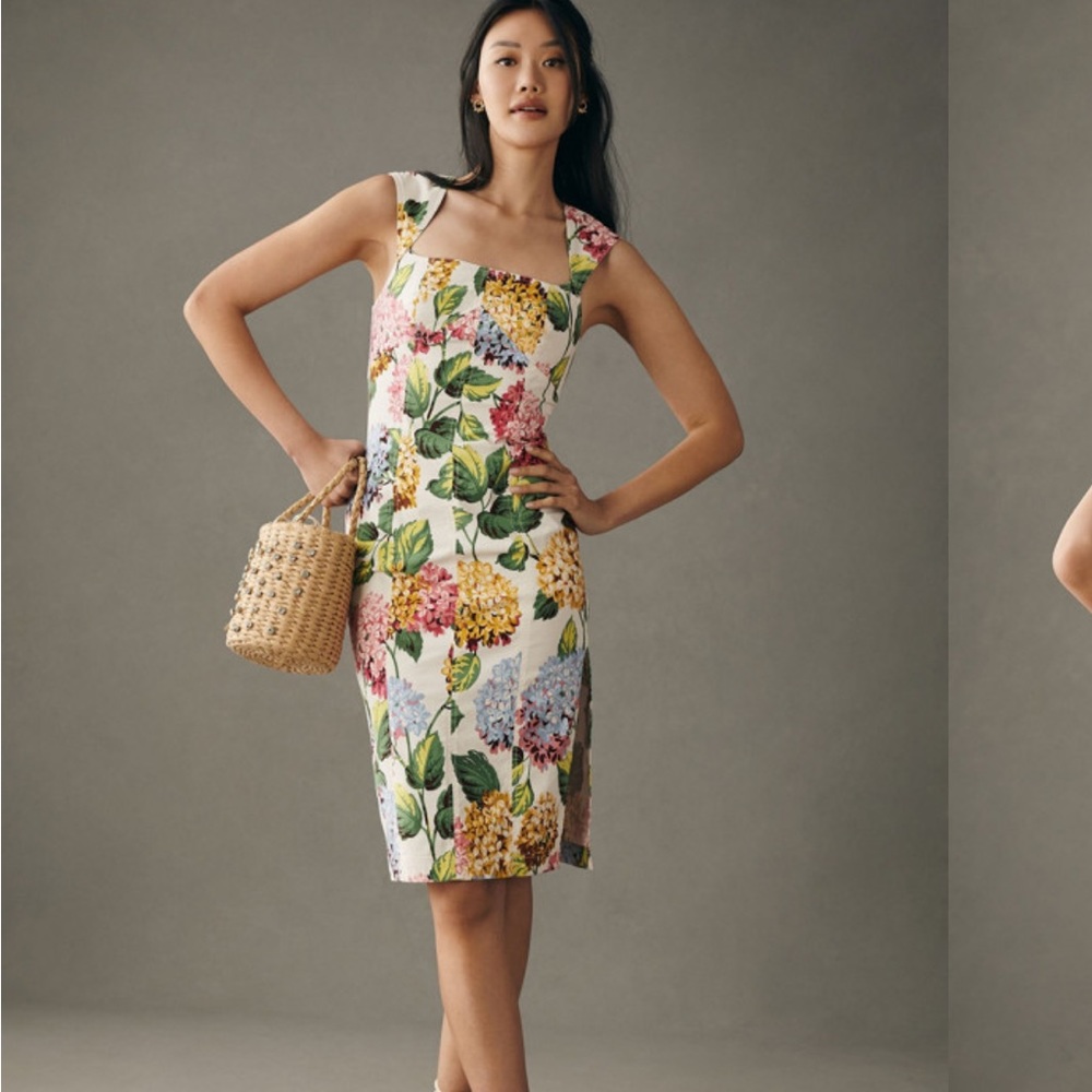Anthropologie botanical dress